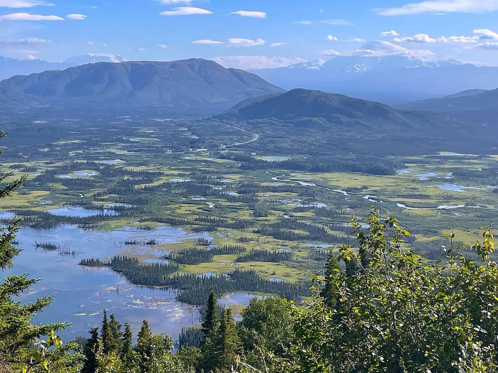 Aerial view of the Alaskan river valley and boreal forest