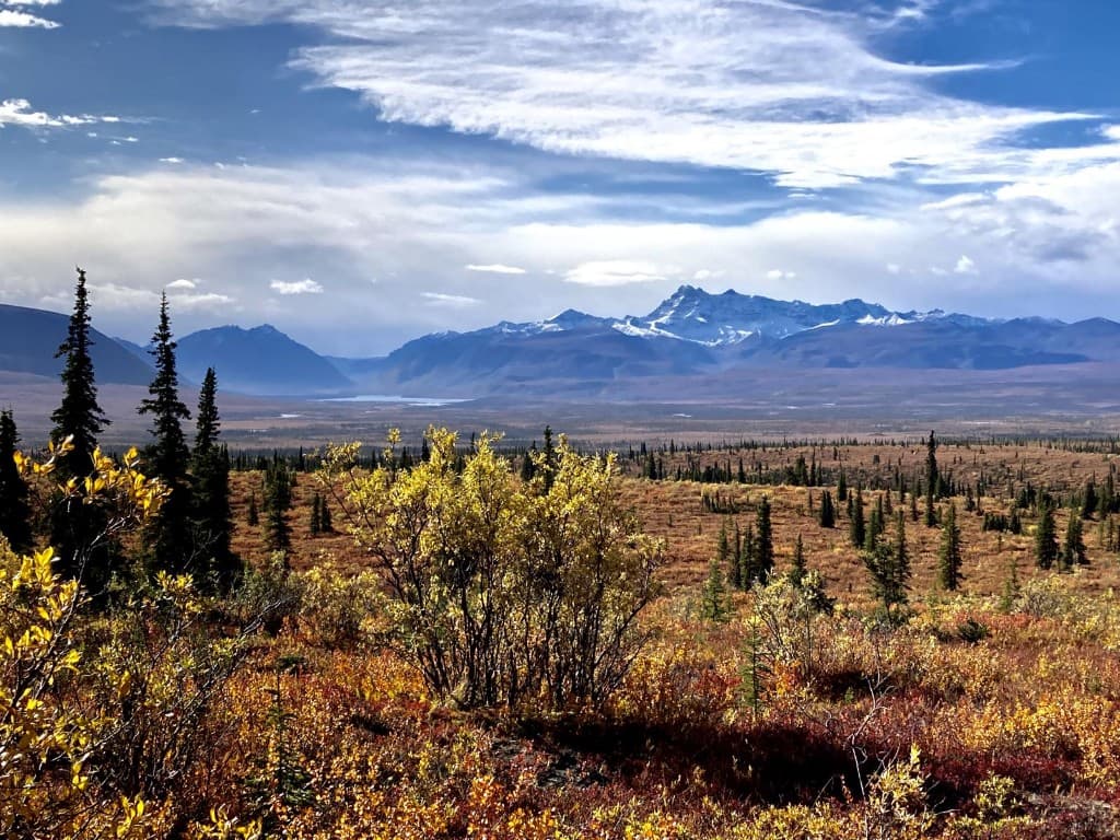 Autumn tundra stretching toward distant snow-capped peaks